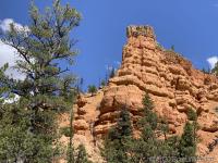 Losee Canyon Trail