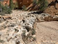 Losee Canyon Trail
