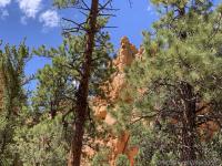 Losee Canyon Trail