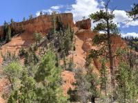 Losee Canyon Trail