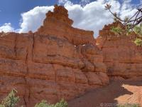 Losee Canyon Trail