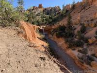 Tropic Ditch Falls