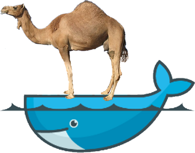 Perl on Docker