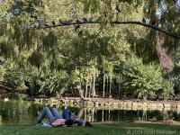 I would not lie here on the ground