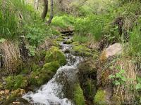 Some spring runoff