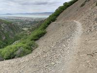 Grove Creek trail