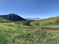View of Big Baldy to the south, and Battle Creek drainage.