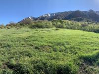 Mount Timpanogos, west side