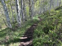 Dropping into Grove Creek drainage from Chris Flat