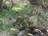 Stream in upper Grove Creek