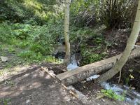 A most excellent footbridge