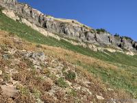 Some great blue limestone hoodoos. The 1955 B-25 crash site is just to the north of here.