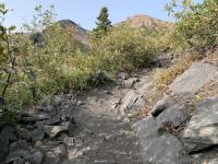 Great Blue Limestone makes the trail dark gray and purple in some places.