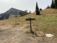 One last look at Box Elder Peak from the meadow.