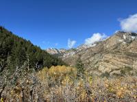 Wildcat Ridge