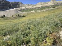 Timpanogos basin looking south