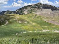 Robert's Horn and Timpanogos Basin