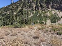 Campsite?