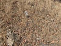Trail shortcut marker