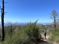 After the fire