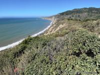 Wildcat Beach overlook